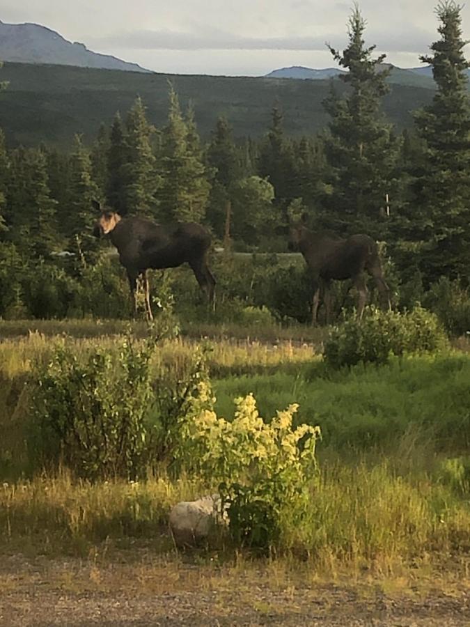Denali Park Hotel Healy Exteriör bild